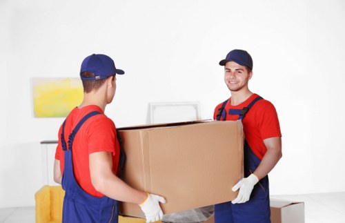 Small local moving team handling boxes and household items in Botanybay