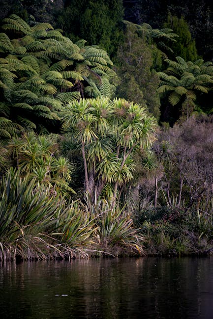 A tall white lighthouse with a cylindrical shape and a balcony near the top, featuring a glass-enclosed lantern room with a domed roof, is visible rising above dense green foliage of trees and shrubs, set against a partly cloudy sky. The scene captures the lighthouse's prominent position on a shoreline, framed by branches and leaves in the foreground. This setting relates to house removals and relocation services by illustrating the importance of careful planning in transporting furniture and equipment, with the lighthouse indicating a coastal area such as Botany Bay. Man with Van Botany Bay’s moving process may involve navigating narrow streets and parking tips, as suggested by the lighthouse’s seaside location and surrounding environment, emphasizing the need for professional loading, packing, and transport of household items during home relocation projects.