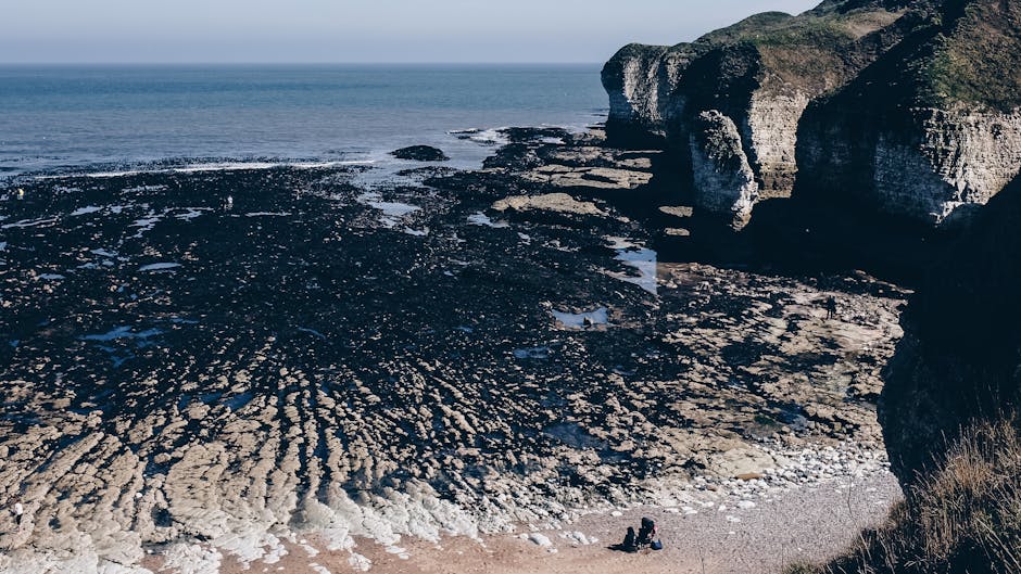 A coastal scene featuring rugged chalk cliffs on the right side, with layered, weathered rock formations extending into the sea. The shoreline below consists of a mixture of dark, wet rocks and small pebbles, with patches of white shell-like material scattered across the beach area. The tide is low, exposing a wide intertidal zone with reflections of the sky on tidal pools. In the foreground, two individuals sit on the pebbled beach, possibly observing the scenery or engaging in a conversation. The water appears calm, with gentle waves gently lapping against the rocks and shore. Overhead, the sky is clear, and the natural environment is illuminated by soft daylight, highlighting the textures of the cliffs and ocean surface. This scenic coastal landscape can be associated with remote or scenic locations suitable for home relocation or vacationing, like areas served by house removals or moving services, such as those offered by Man with Van Botany Bay.