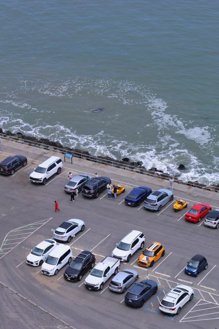 Aerial view of a waterfront parking area adjacent to the sea, with a row of parked cars including white, black, grey, yellow, and red vehicles positioned in designated parking bays. The pavement surface appears clean and organized, with some vehicles parked at an angle and others parallel to the shoreline. In the background, the sea displays gentle waves with some foam, and a few people can be seen walking near the water’s edge. The scene is well-lit, likely during daylight, and provides a clear view of the parking space layout and surroundings. Although the image does not show moving or loading activities, it relates to the logistical aspect of house removals and the physical environment involved in relocation. This setting aligns with services offered by Man with Van Botany Bay, which specialises in removals and home relocation services, including parking considerations near property access points.